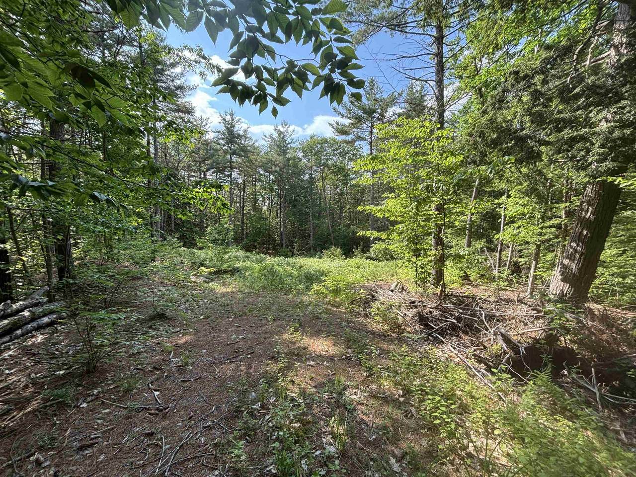 00 Davis Hill Road - Photo 1