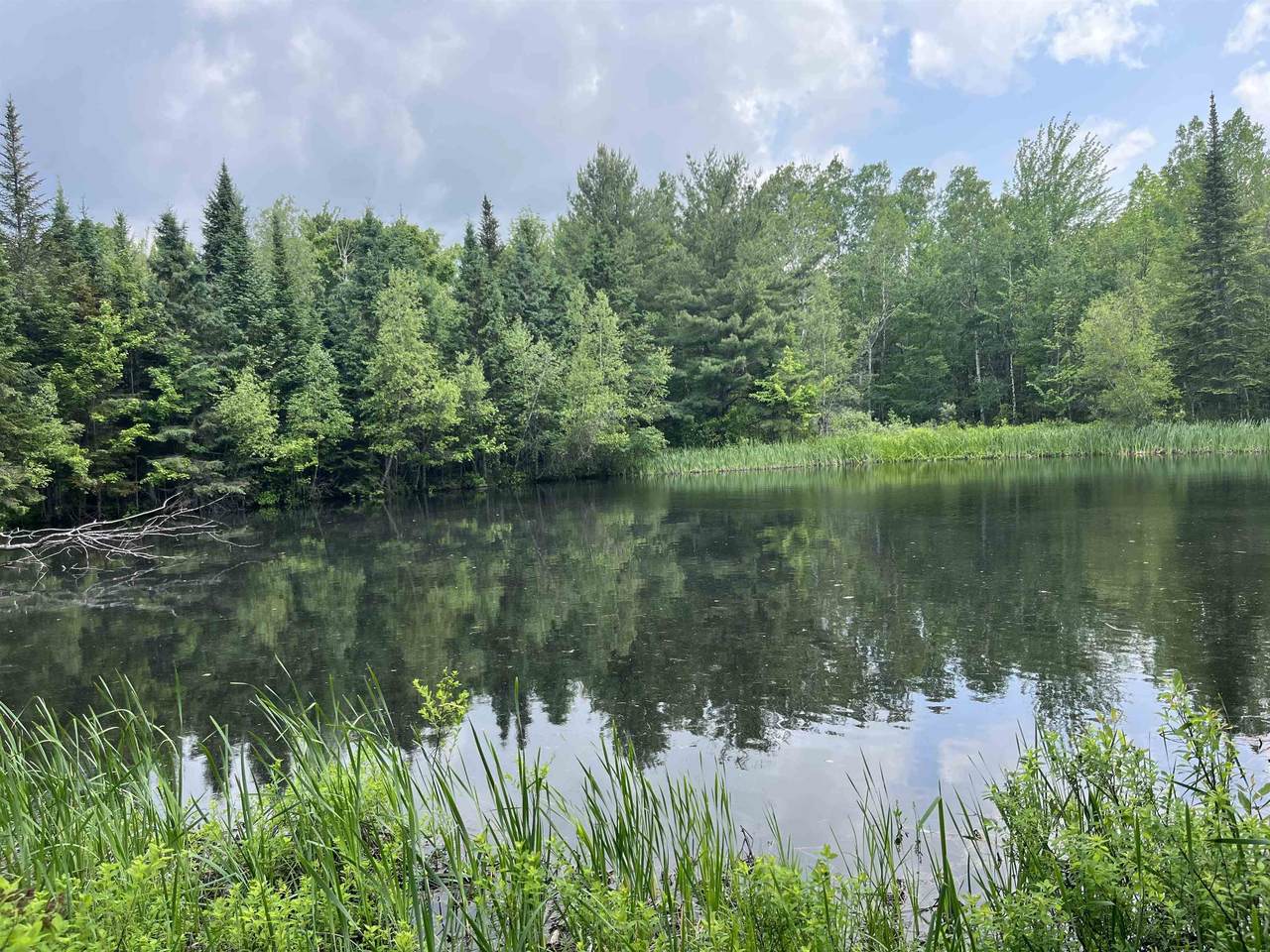 00 Guyette Road - Photo 1