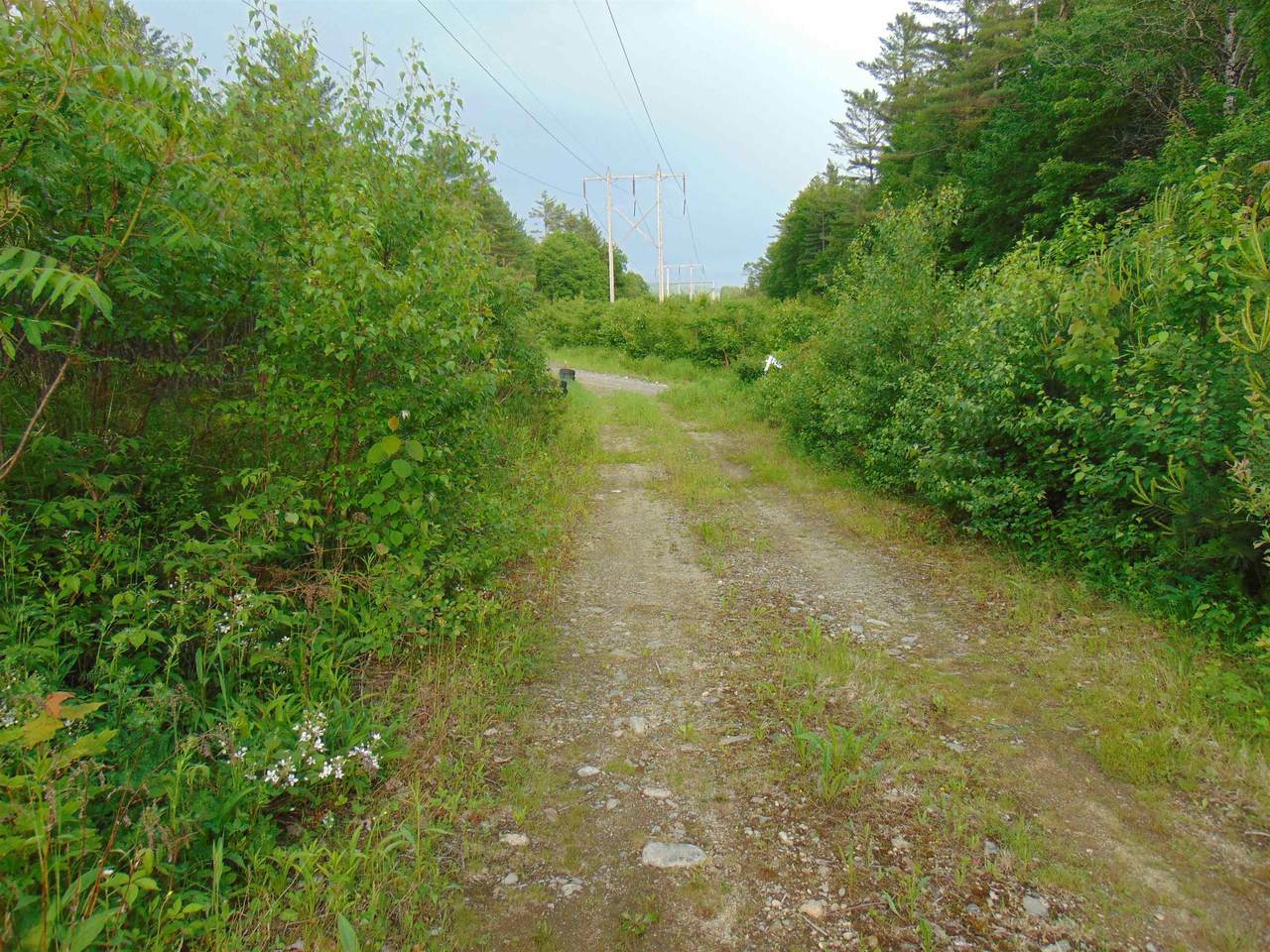 0 Walker Pit Road - Photo 1