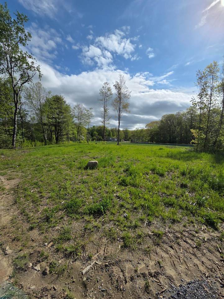 Lot 1C Daisy Lane - Photo 1