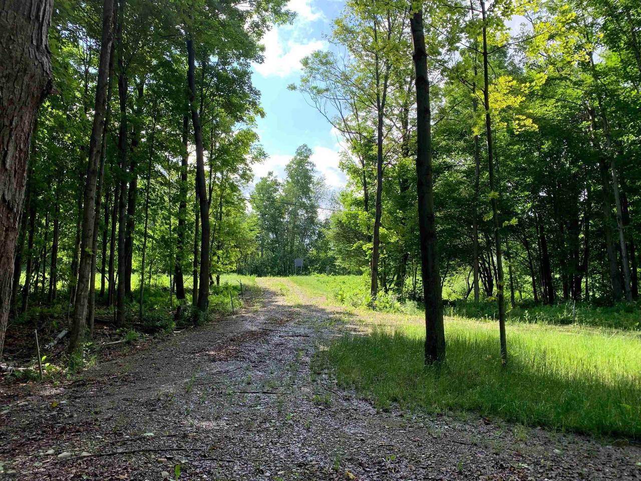 1281 Vt Route 101 - Photo 1