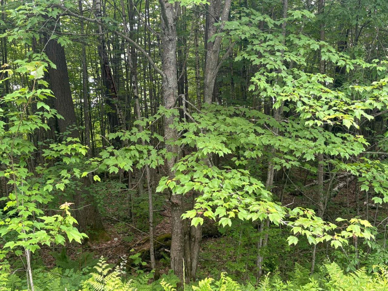00 Vt Route 105 - Photo 1