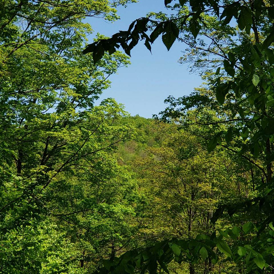 00 Beaver Meadow Road - Photo 1