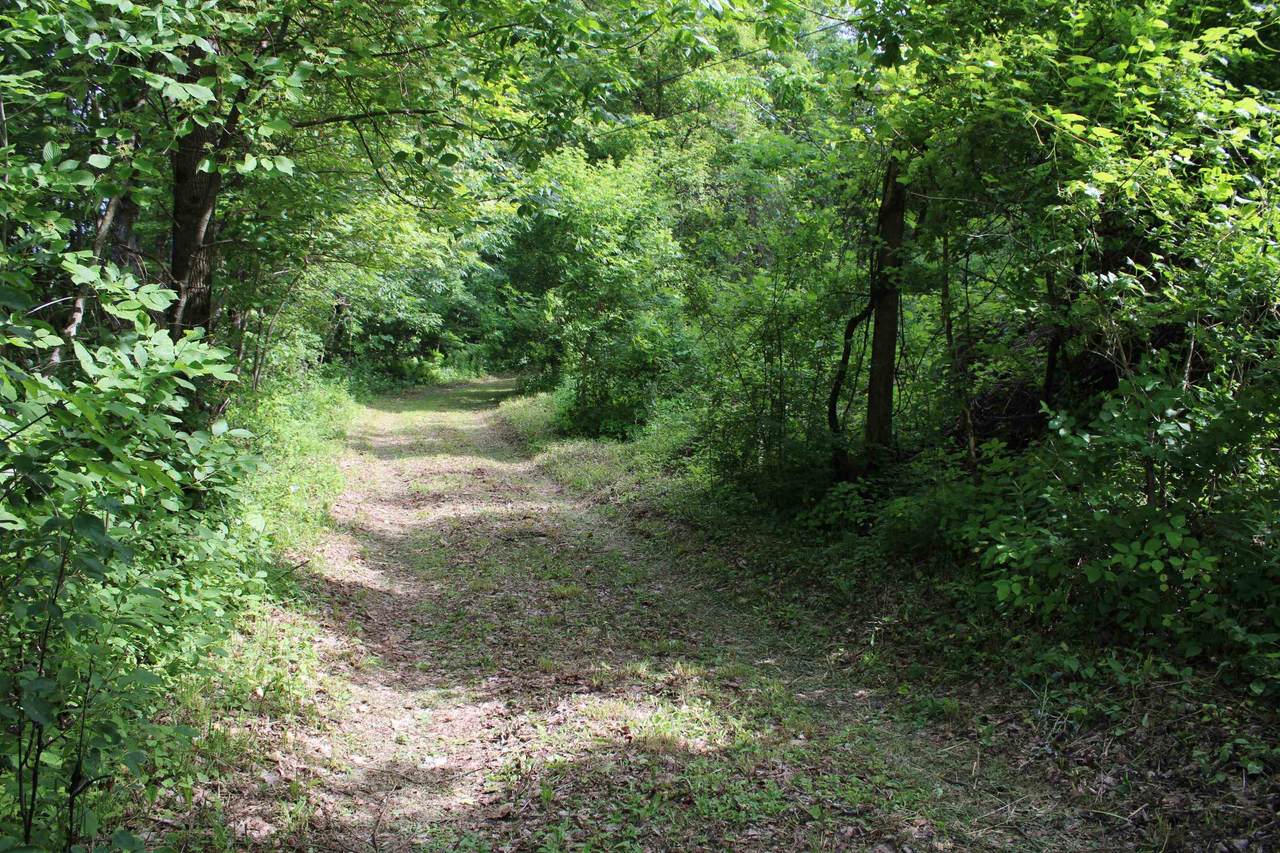 3131 Old Otis Road - Photo 1