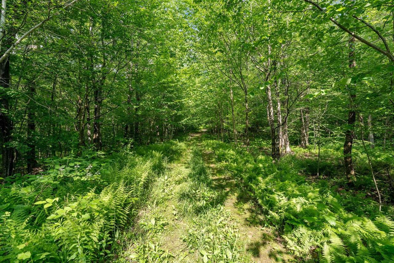 115 Stone Hill Road - Photo 1