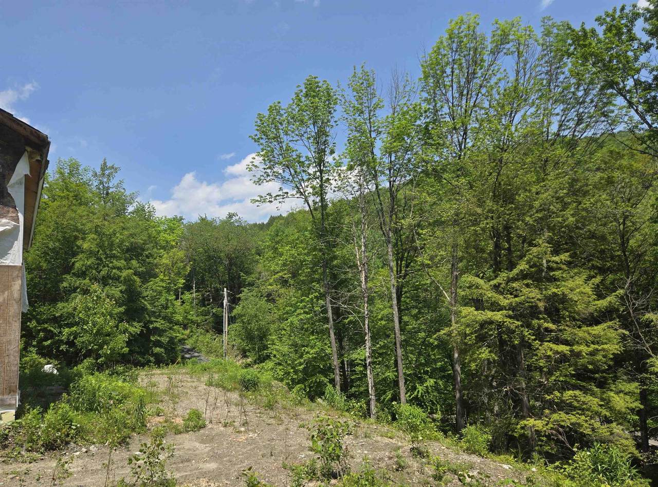 459 Sugar Hill Road - Photo 1