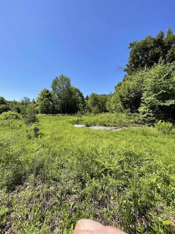 * Alder Plains Road - Photo 1