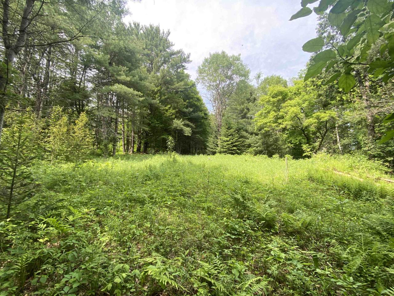 0 Simpson Brook Road - Photo 1
