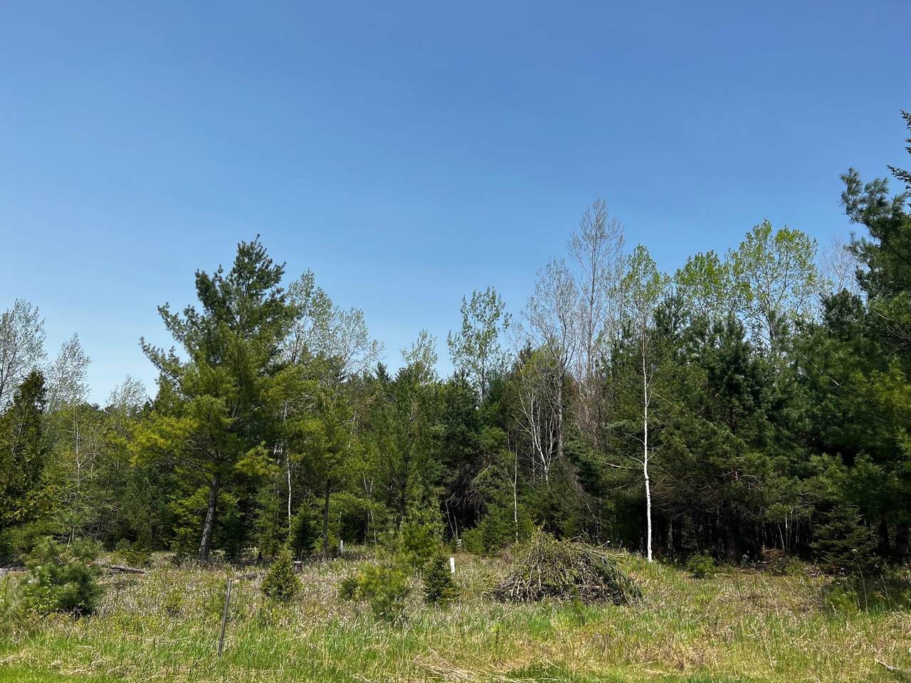 00 Spring Creek Road - Photo 1