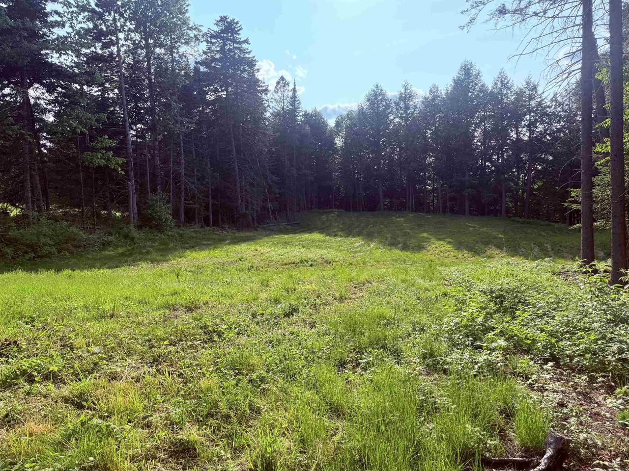 00 Guy's View Road - Photo 1