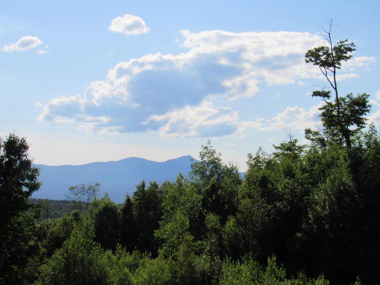 1232 Clark Mountain Road - Photo 1