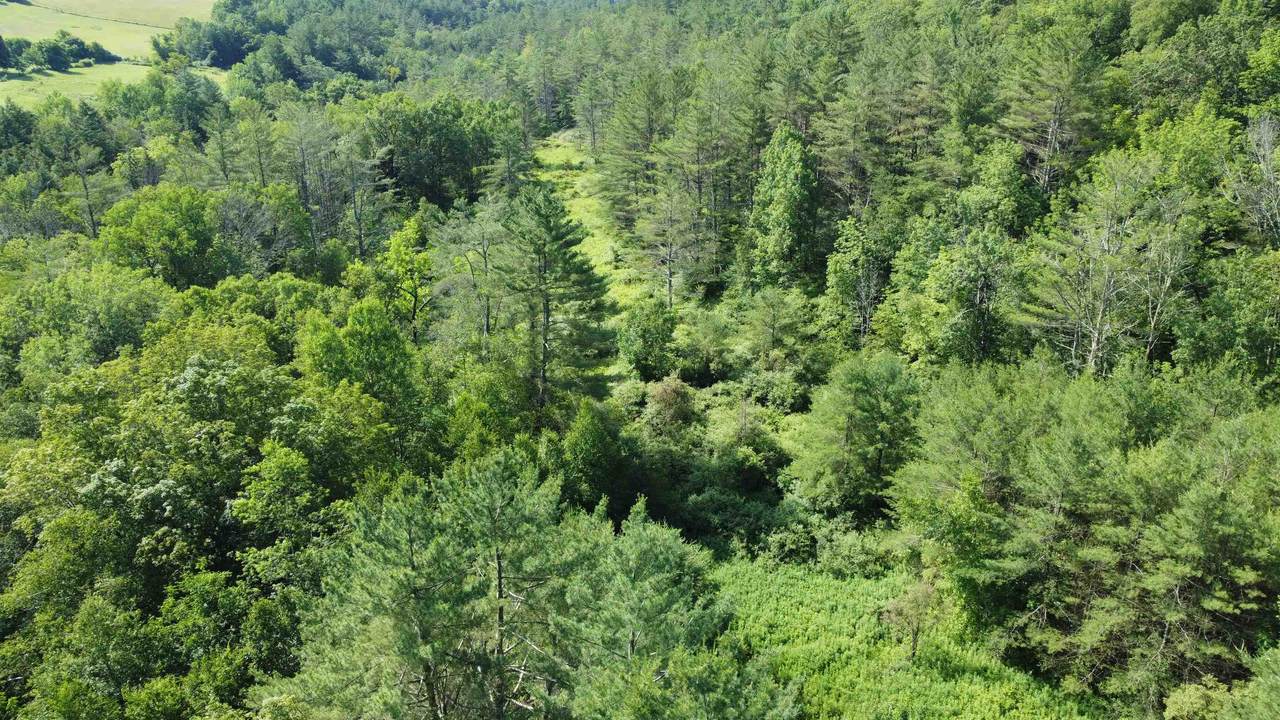 0000 Skiparee Road - Photo 1