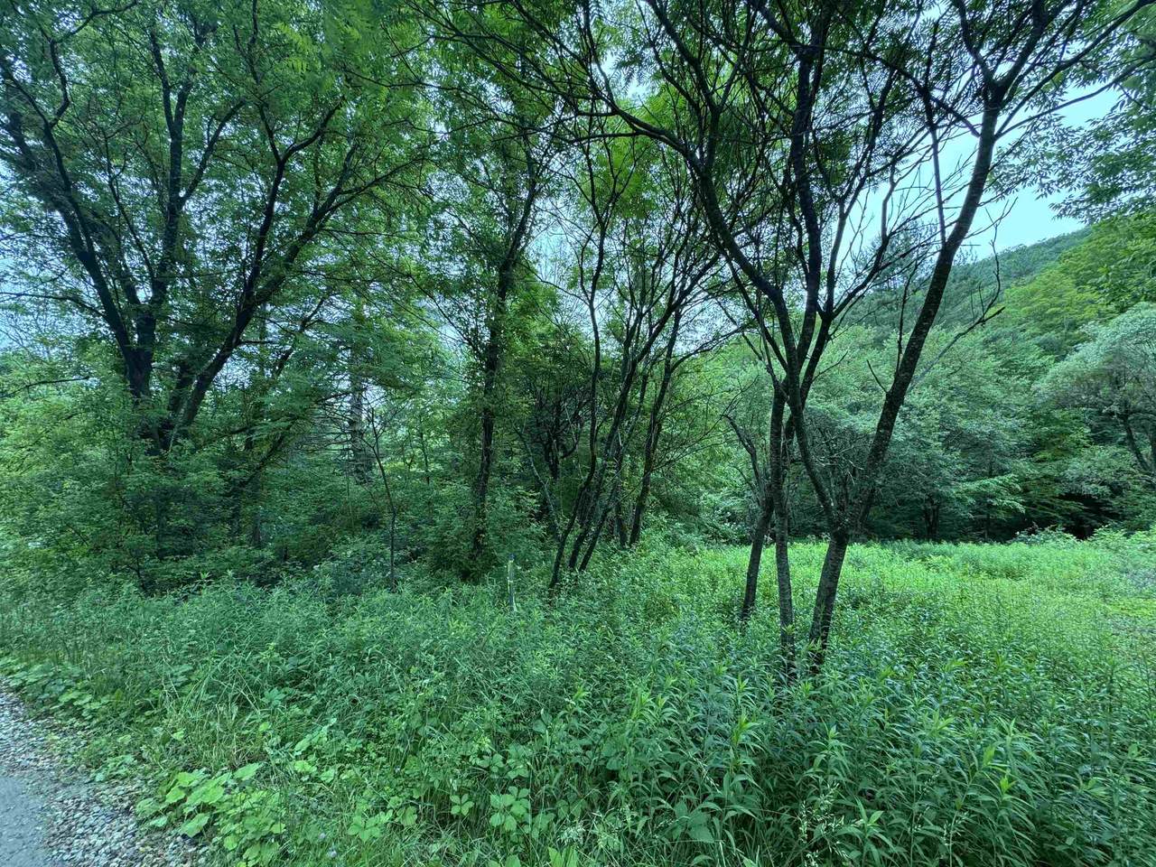 https://bt-photos.global.ssl.fastly.net/nneren/1280_boomver_1_5049785-2.jpg