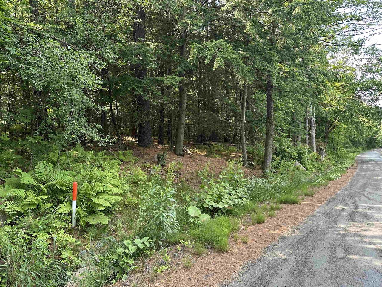 Goulden Ridge Road - Photo 1