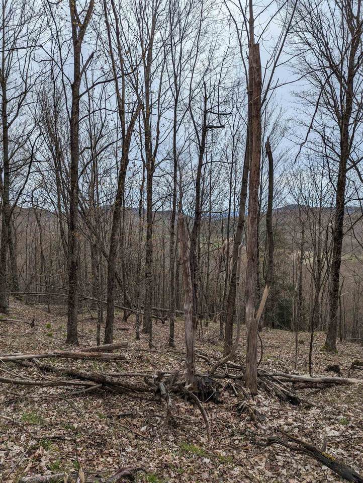 449 & 120 Dodd Road - Photo 1