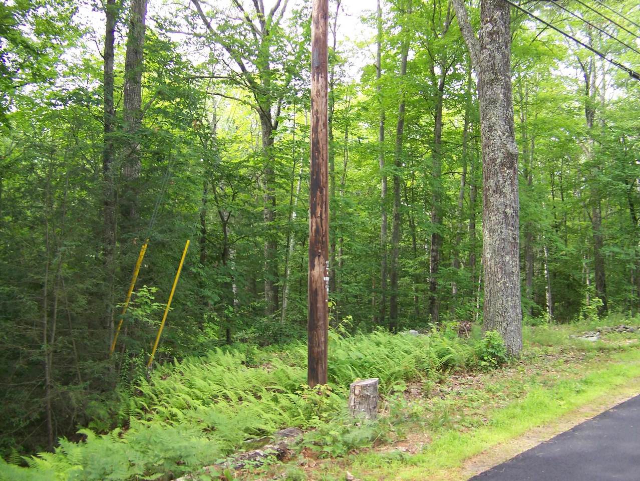 Ledge Hill Road - Photo 1