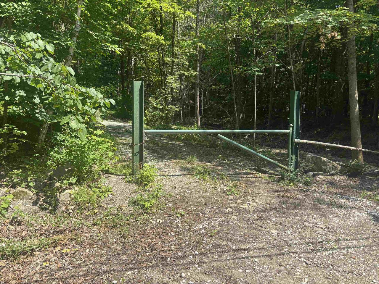  Upper Plains Road - Photo 1