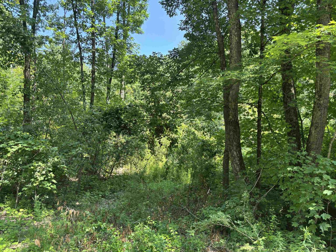  Upper Plains Road - Photo 1
