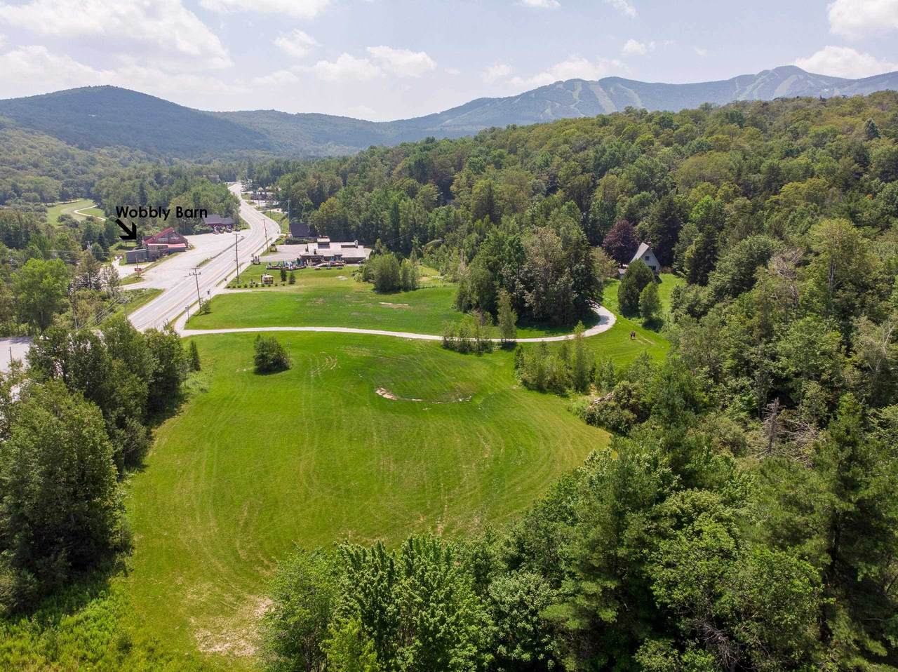 2134 Killington Road - Photo 1