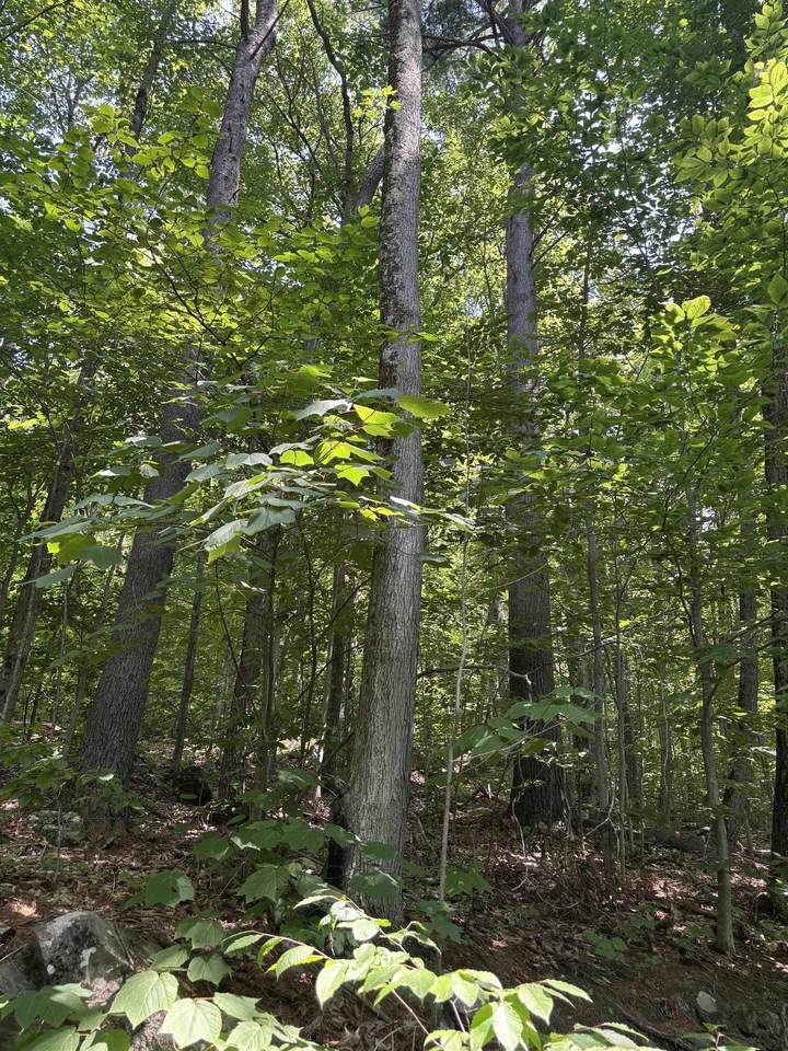  Upper Plains Road - Photo 1