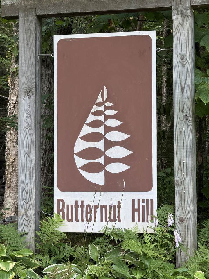 954 Butternut Hill Road - Photo 1
