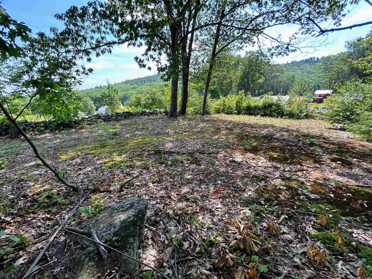 149 Bear Hill Road - Photo 1