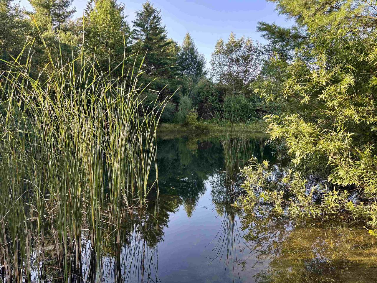 915 Maple Hill Road - Photo 1