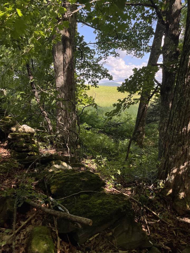 00 Ledge Hill Road - Photo 1