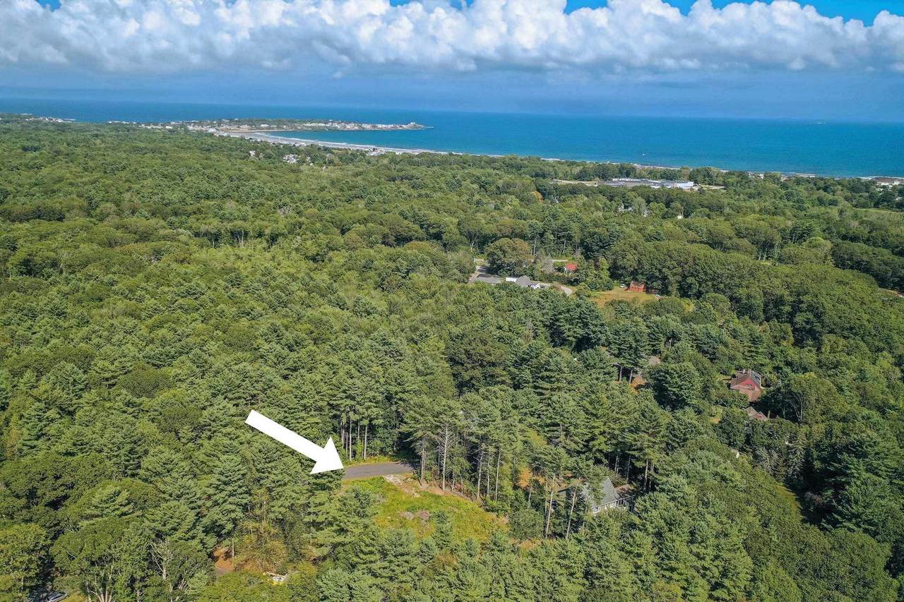 15 Candlewood Lane - Photo 1