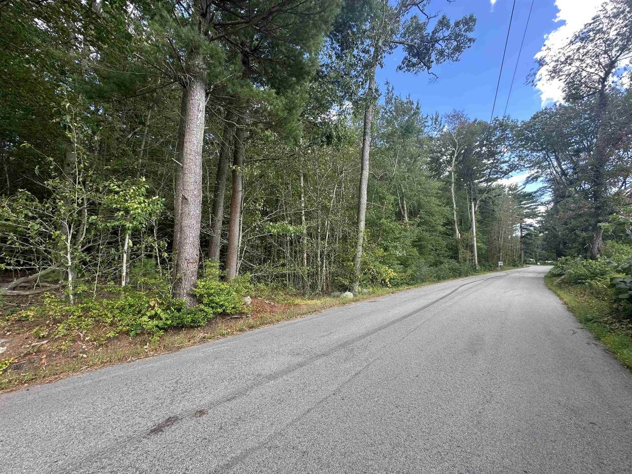 119-7 Map 119 Lot 7 Timber Swamp Road - Photo 1