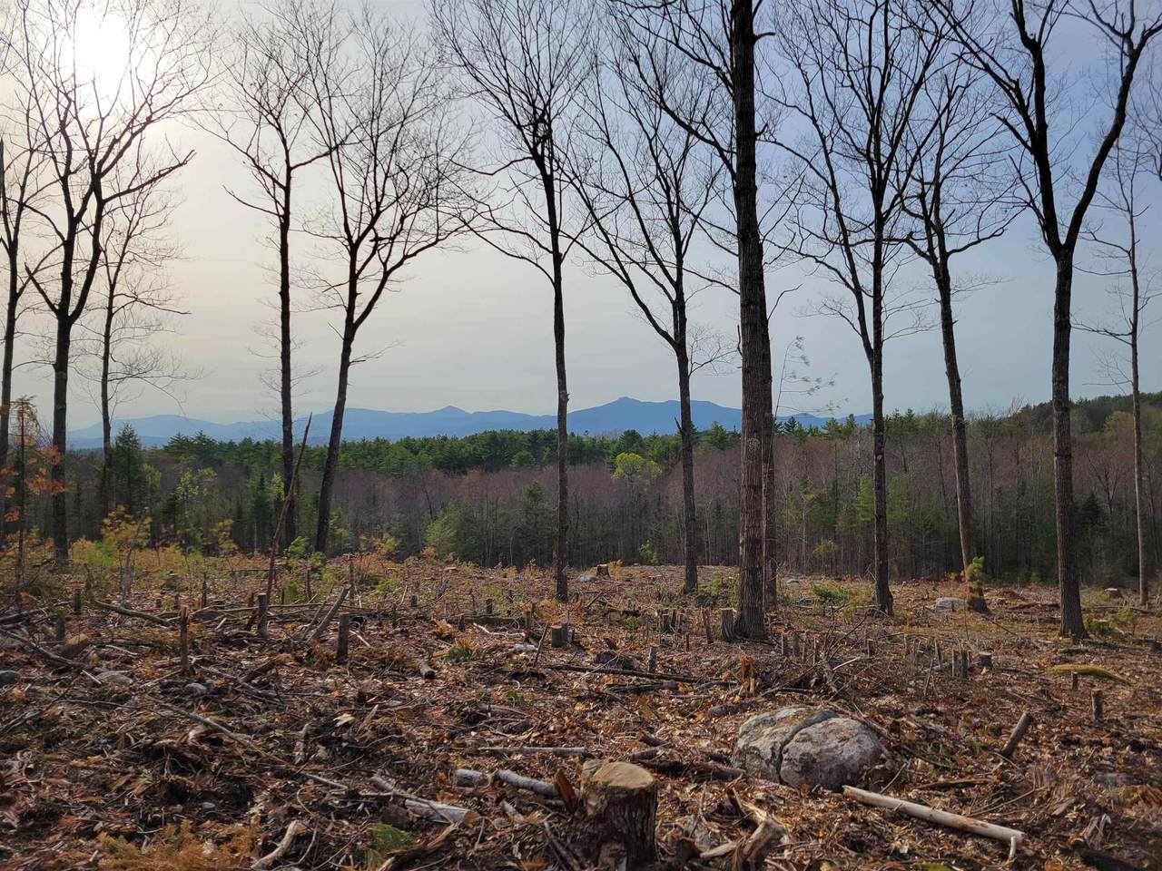 238-1-1.3 Maple Grove Road - Photo 1