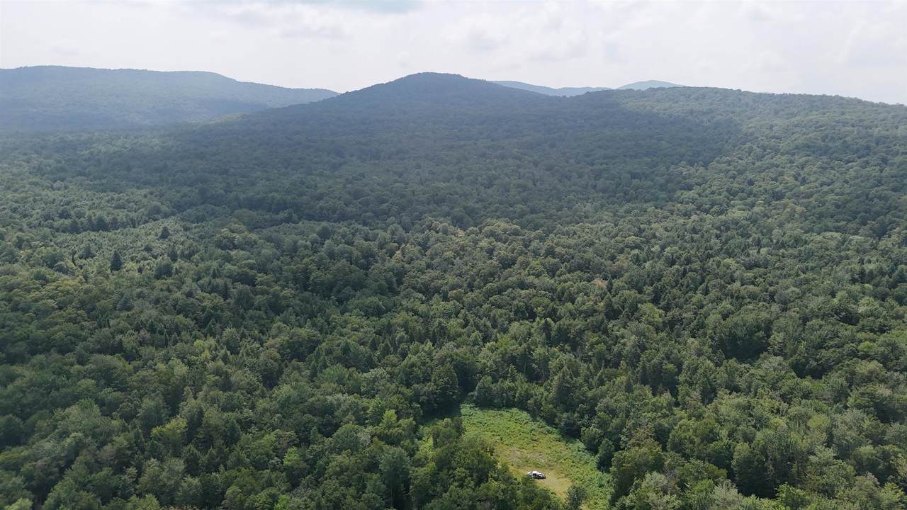 0 Bog Road - Photo 1