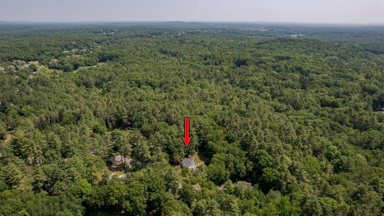 15 Allens Avenue - Photo 1