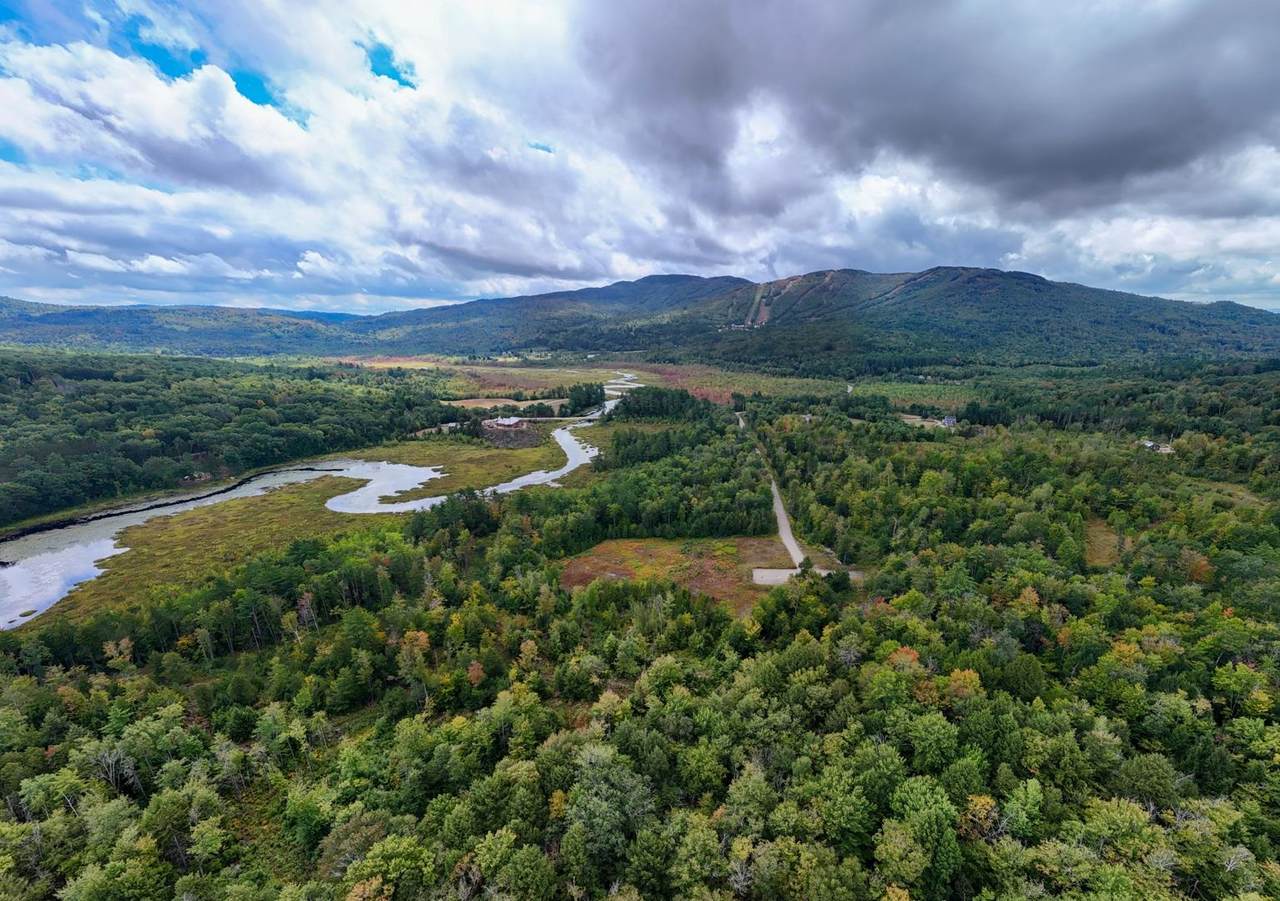 66 Phelps Lane - Photo 1