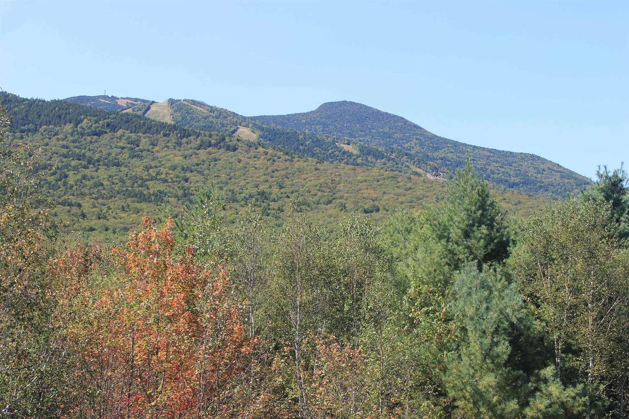 15 Moose Way - Photo 1