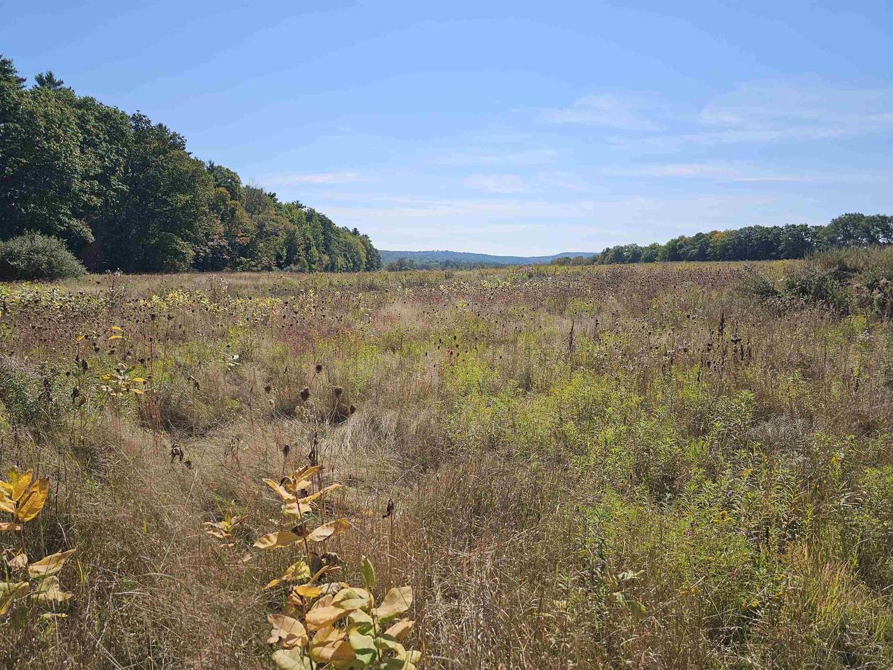 0 Shaw Road - Photo 1