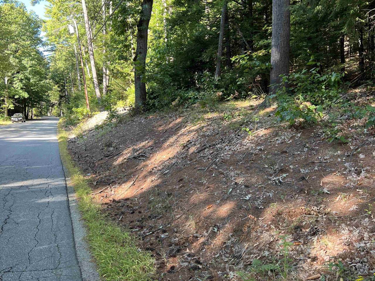  Pine Street - Photo 1