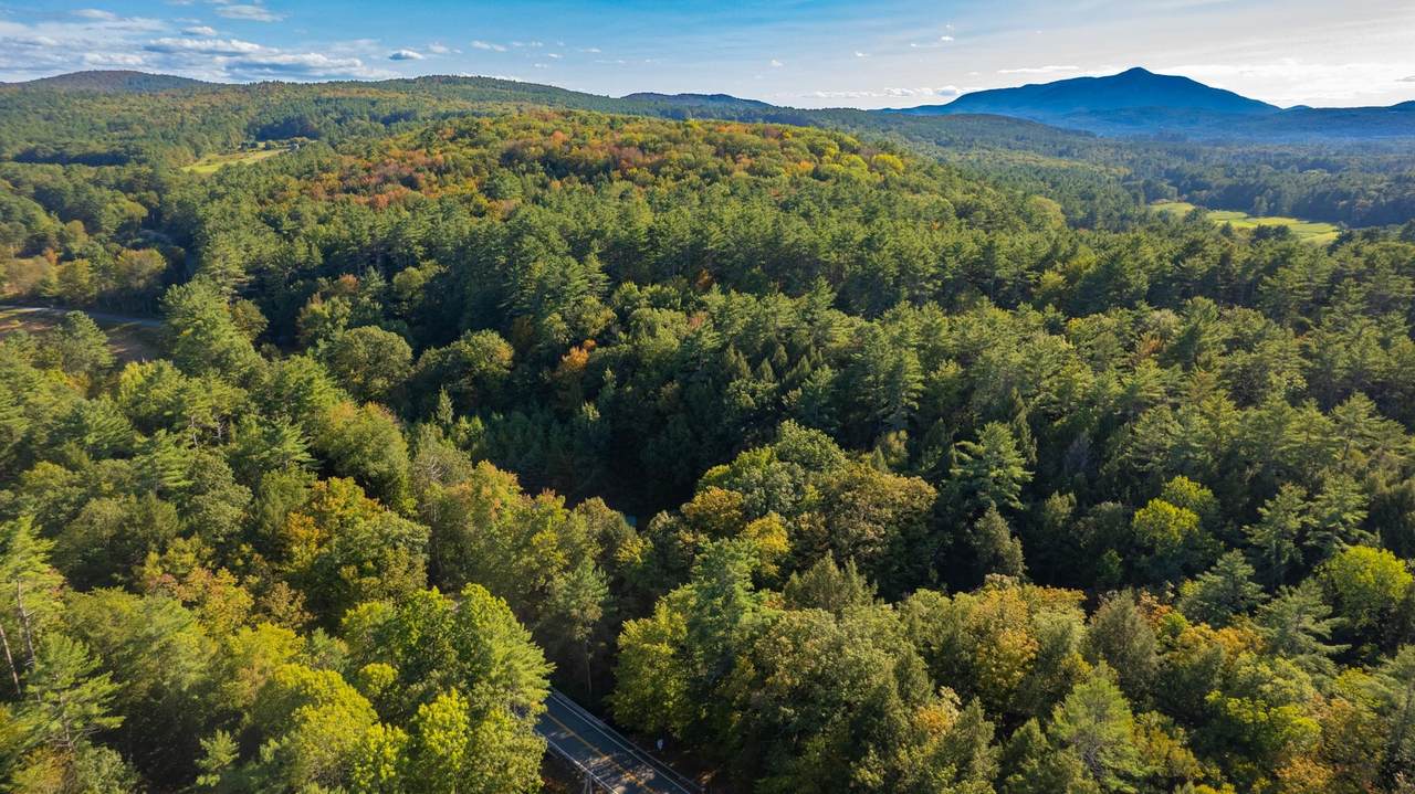 1041 Stage Road - Photo 1