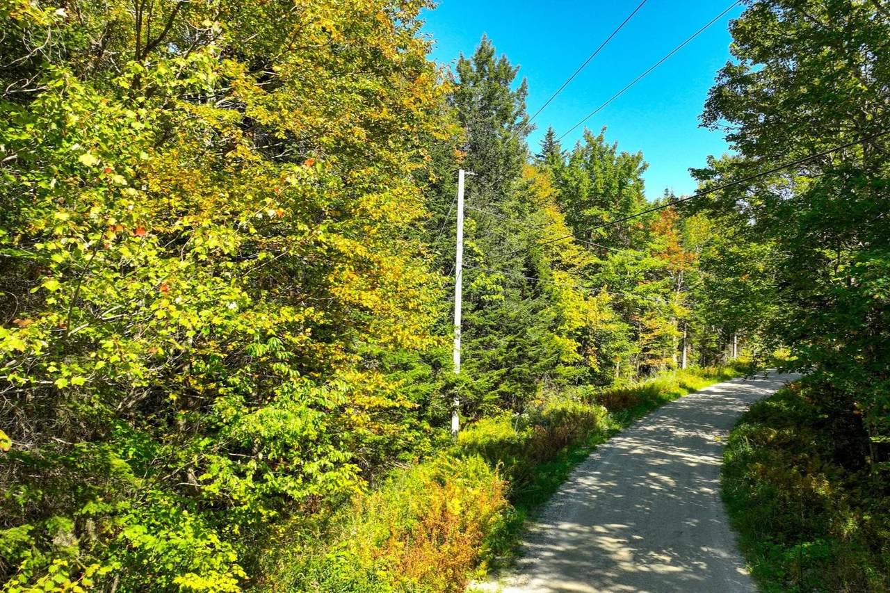 00 Old Weston Mountain Road - Photo 1