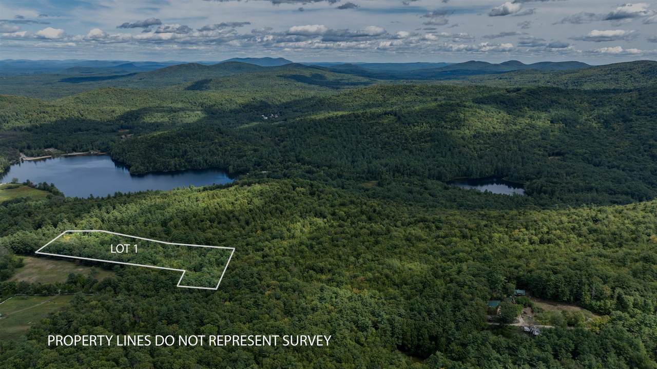 lot 1 Youngs Road - Photo 1