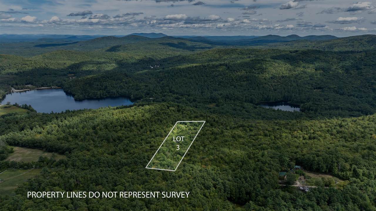 Lot 3 Youngs Road - Photo 1