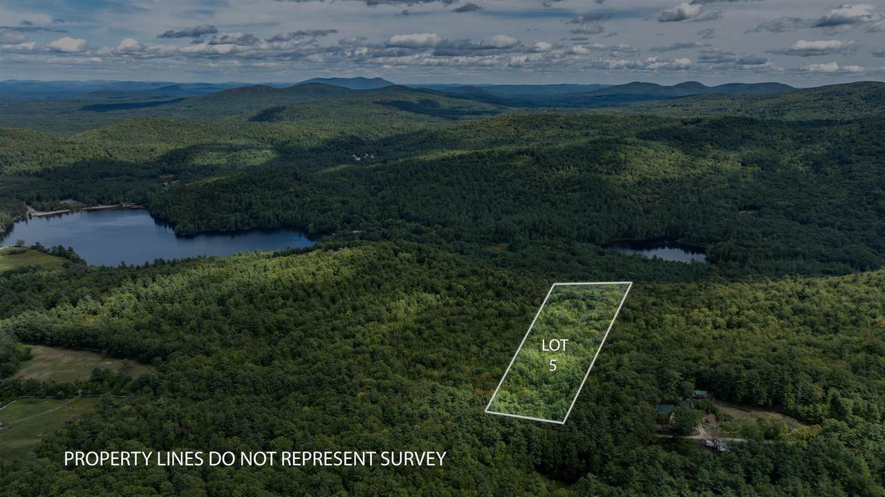 Lot 5 Youngs Road - Photo 1