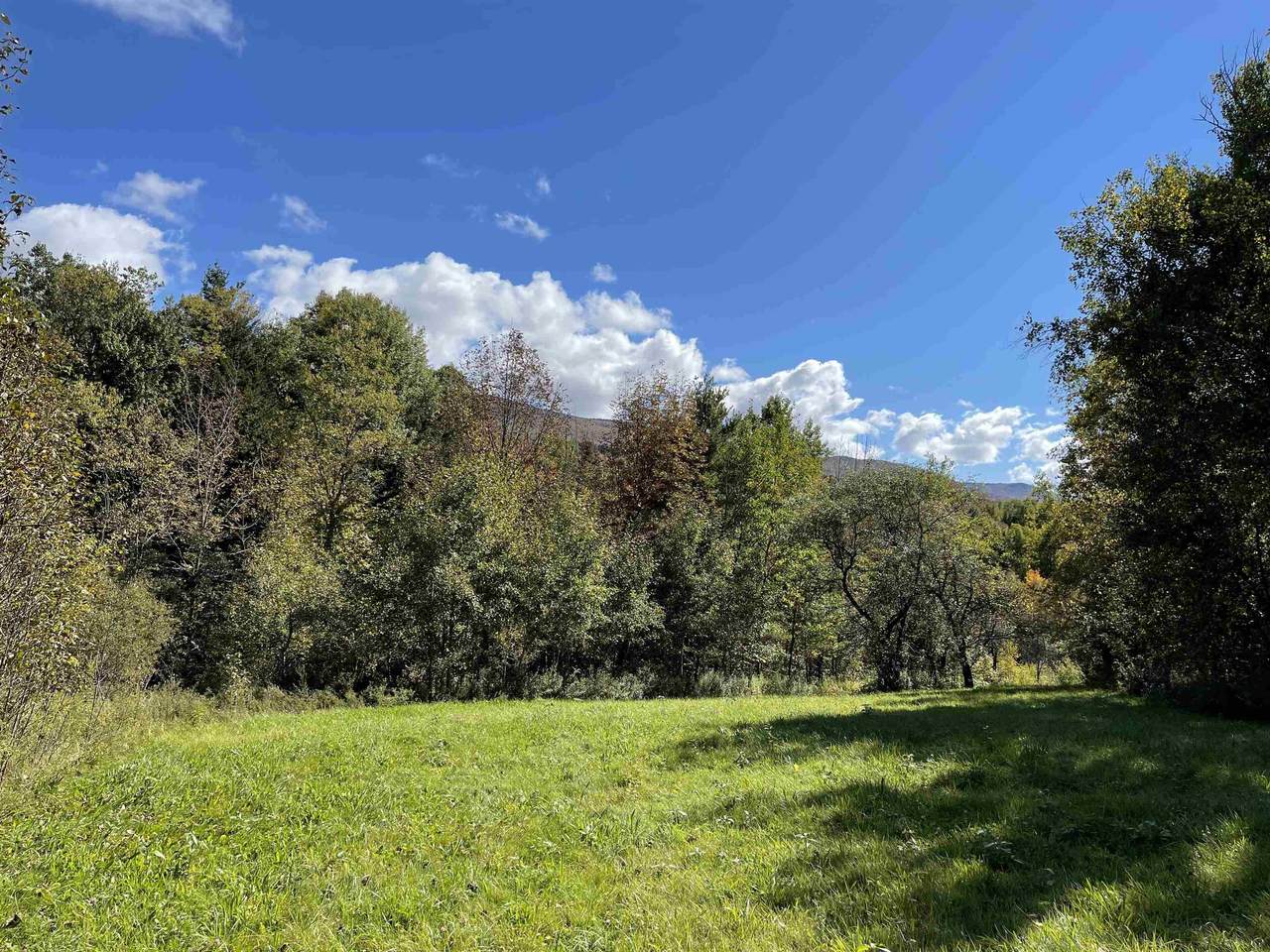 3003 East Warren Road - Photo 1