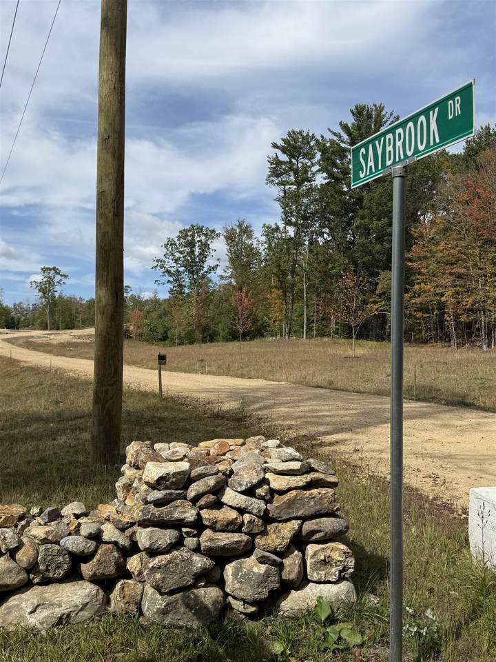 Lot 14-0 Saybrook Drive - Photo 1