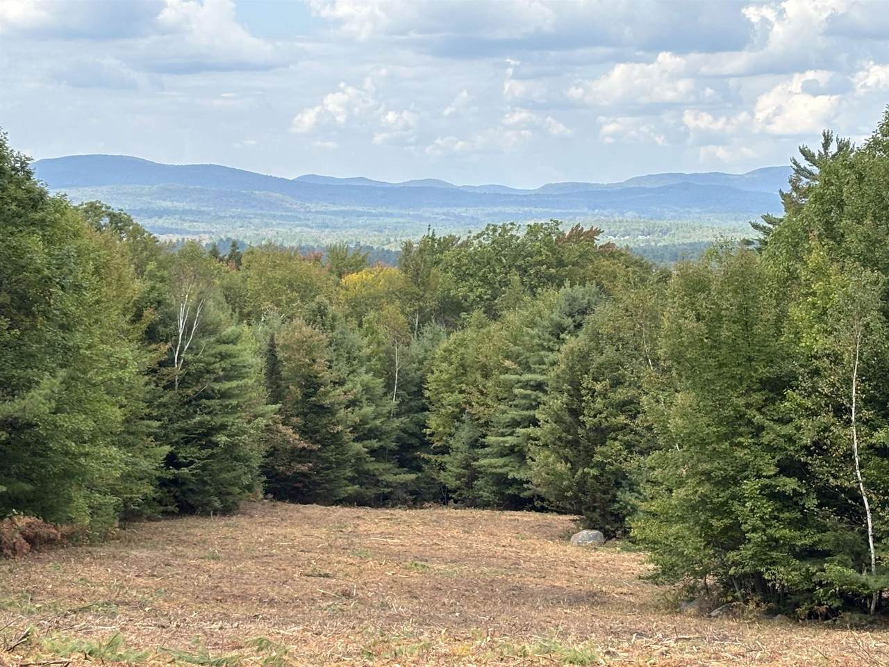 off Wilder Farm Road - Photo 1