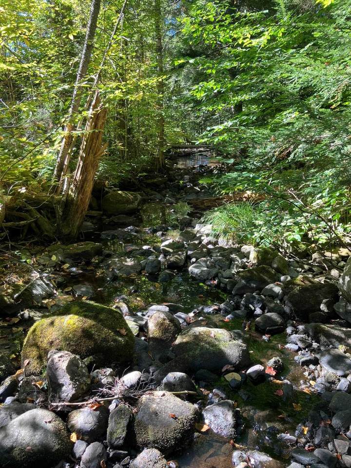 0 Theresa Lane - Photo 1