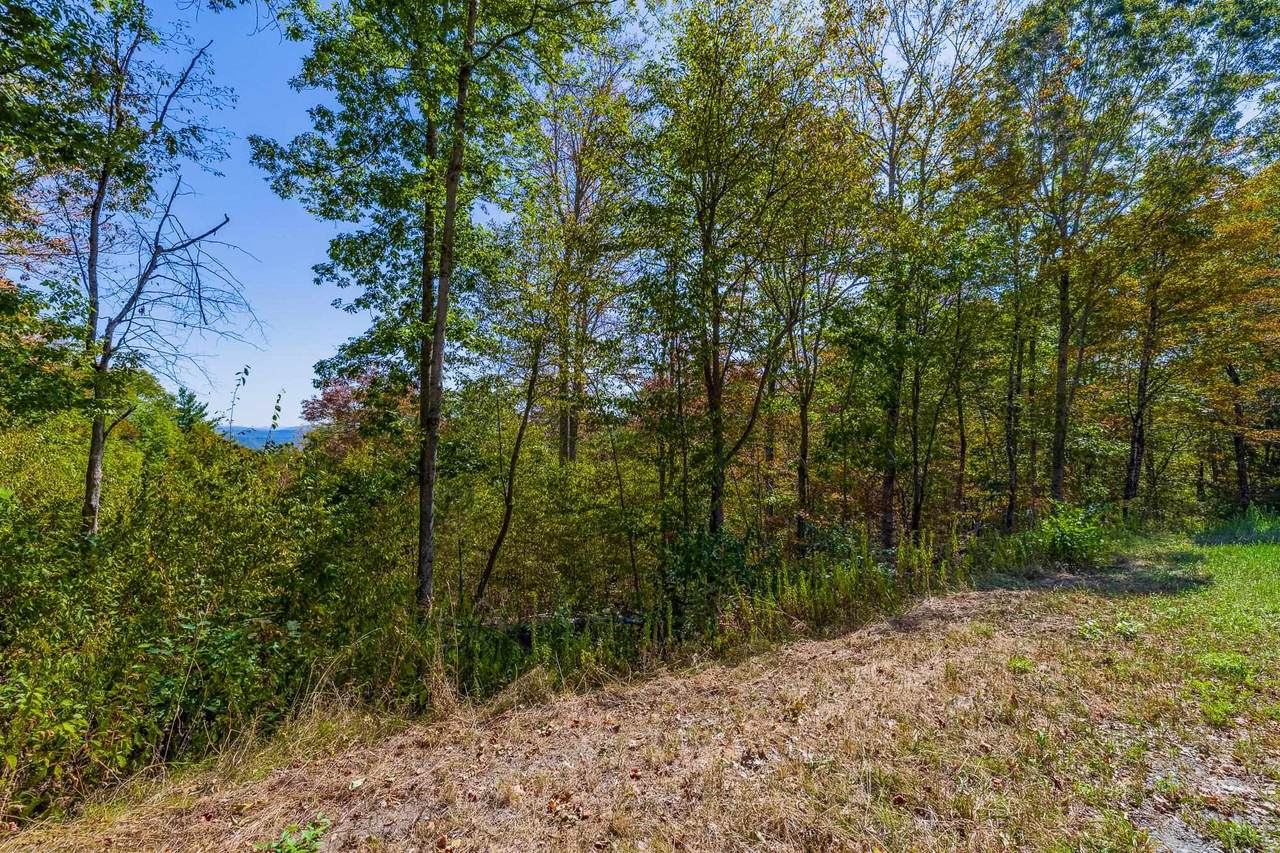 5268 Willard Road - Photo 1