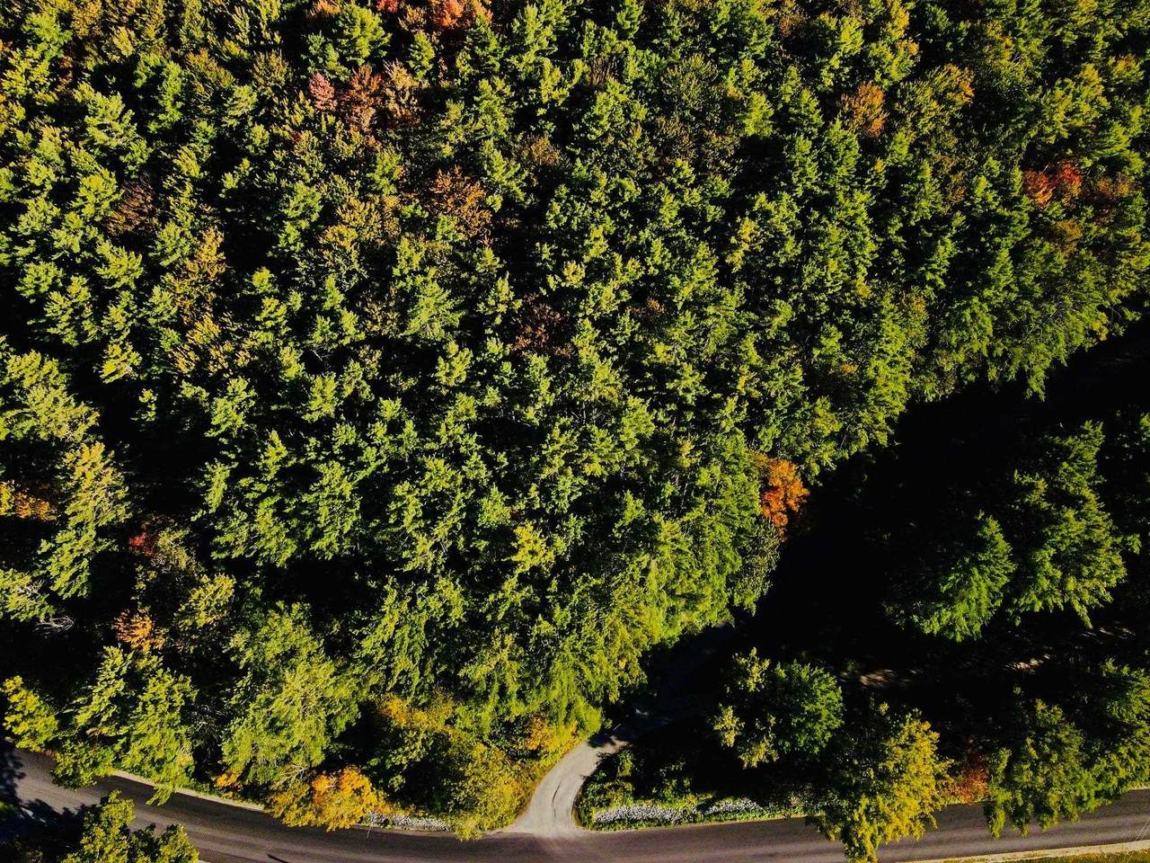 0 Jericho Street - Photo 1