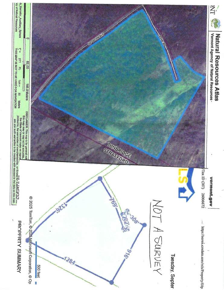 66 Paine Road - Photo 1