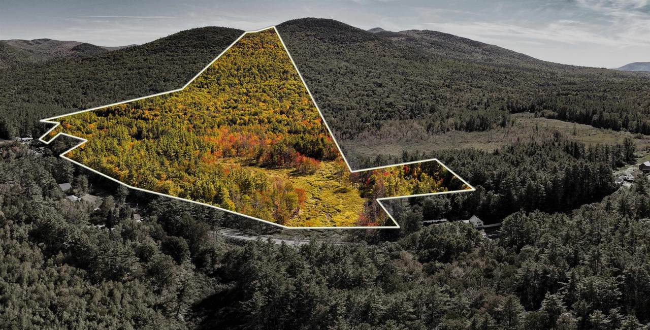 00 Bearcamp Highway - Photo 1